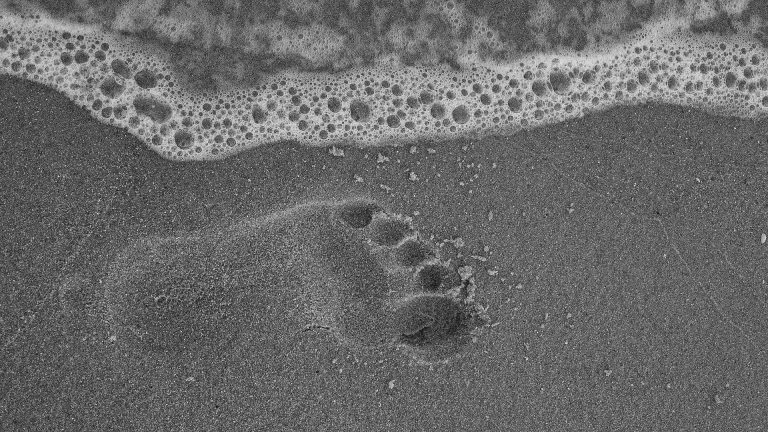 Off The Radar: 7 Ways To Remove Your Digital Footprint